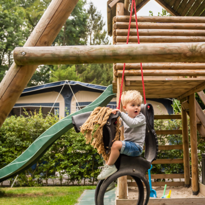 Horse swing