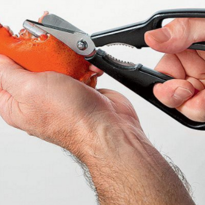 Crustacean scissors