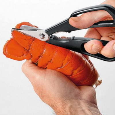 Crustacean scissors