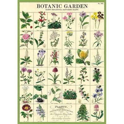 Poster - Botanical Garden