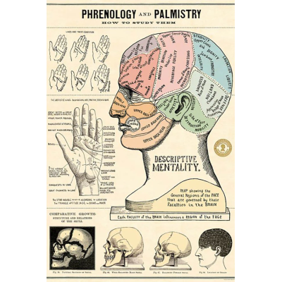 Affiche - Palmologie