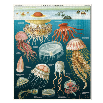 Puzzle - 1000 piezas Meduses 50 x 70 cm