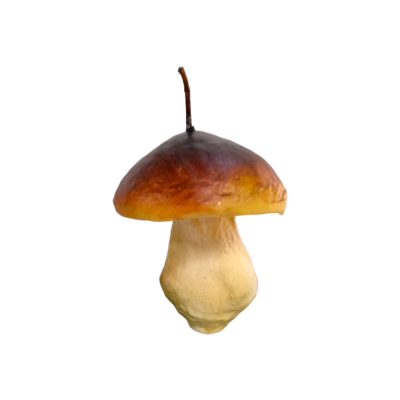 Bougie Champignon