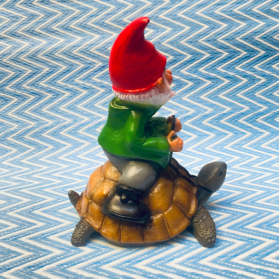 Nain garden on his turtle