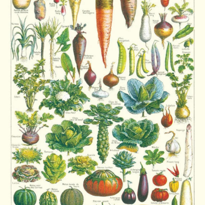 Poster - The Garden