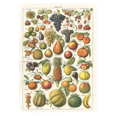 Poster - Fruits 2