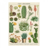 Mostrar - Cactus exitosos