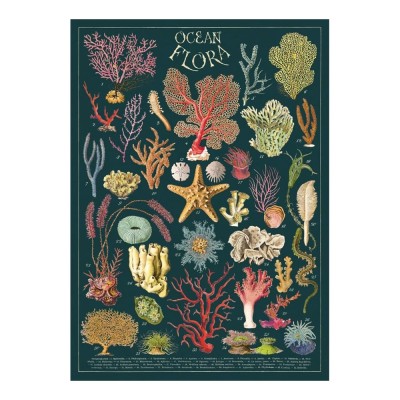 Poster - Anemones