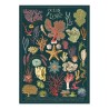 Cartel - Anemones