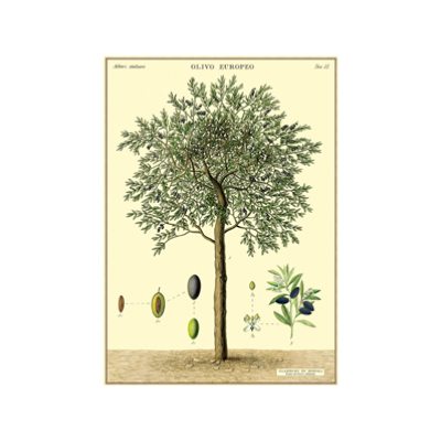 Poster - Gardening