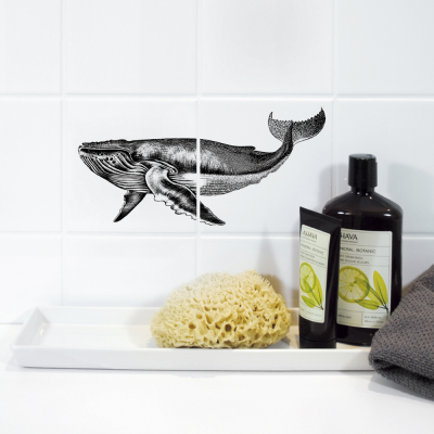 Whale sticker