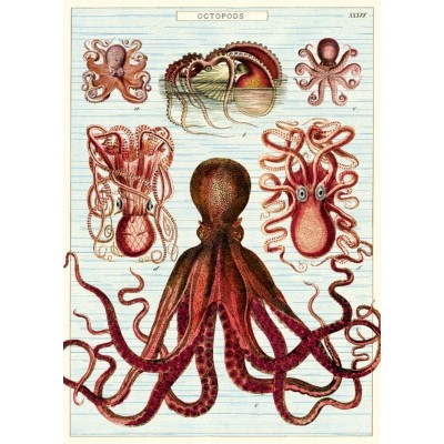 Poster - Octopuses