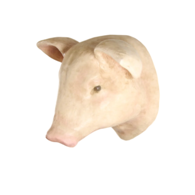 Pig Head Bust