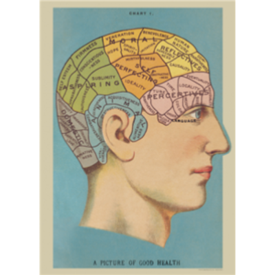Poster - Brain