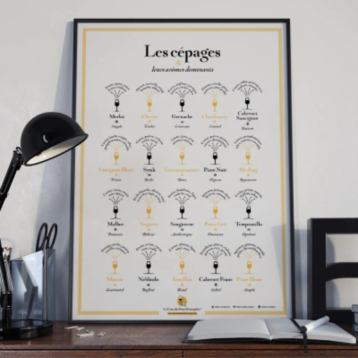 Posters - Variedades de vino