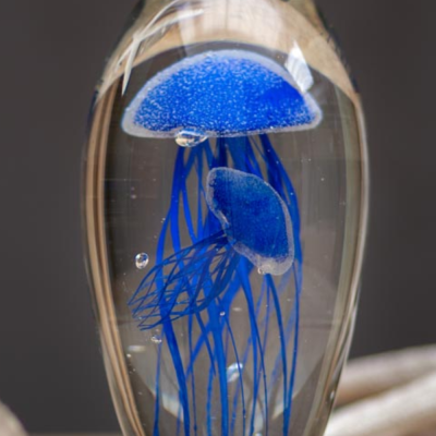 Sulfure 2 Méduses bleues