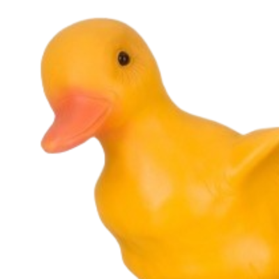 Canard en plastique