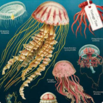 Canvas bag - Jellyfish