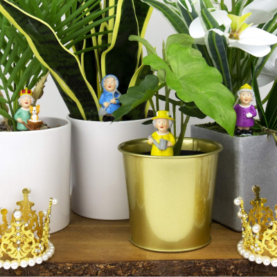 Set de 4 Plante pot - Queen Elizabeth