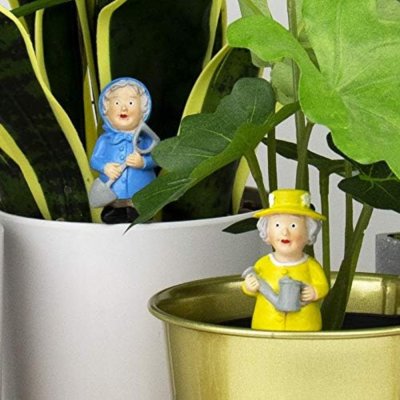 Set de 4 Plante pot - Queen Elizabeth