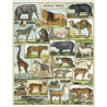 Puzzle - 1000 piezas de animales 50 x 70 cm