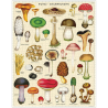 Puzzle - 1000 Partes animales 50 x 70 cm (copia)