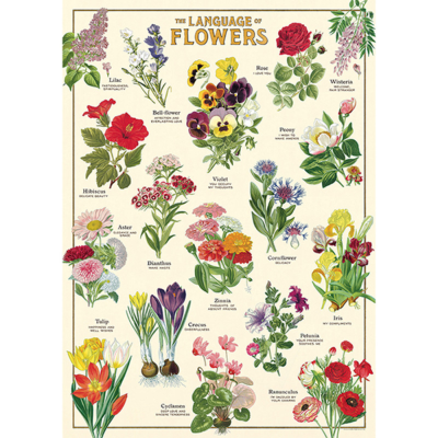 Affiche - Le langage des fleurs