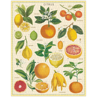 Puzzle - 1000 pieces Citrus 50 x 70 cm