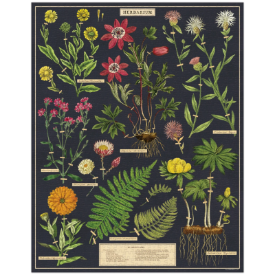 Puzzle - 1000 Pieces Herbarium 50 x 70 cm