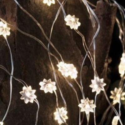 Garland small flowers bright white - 40 leds